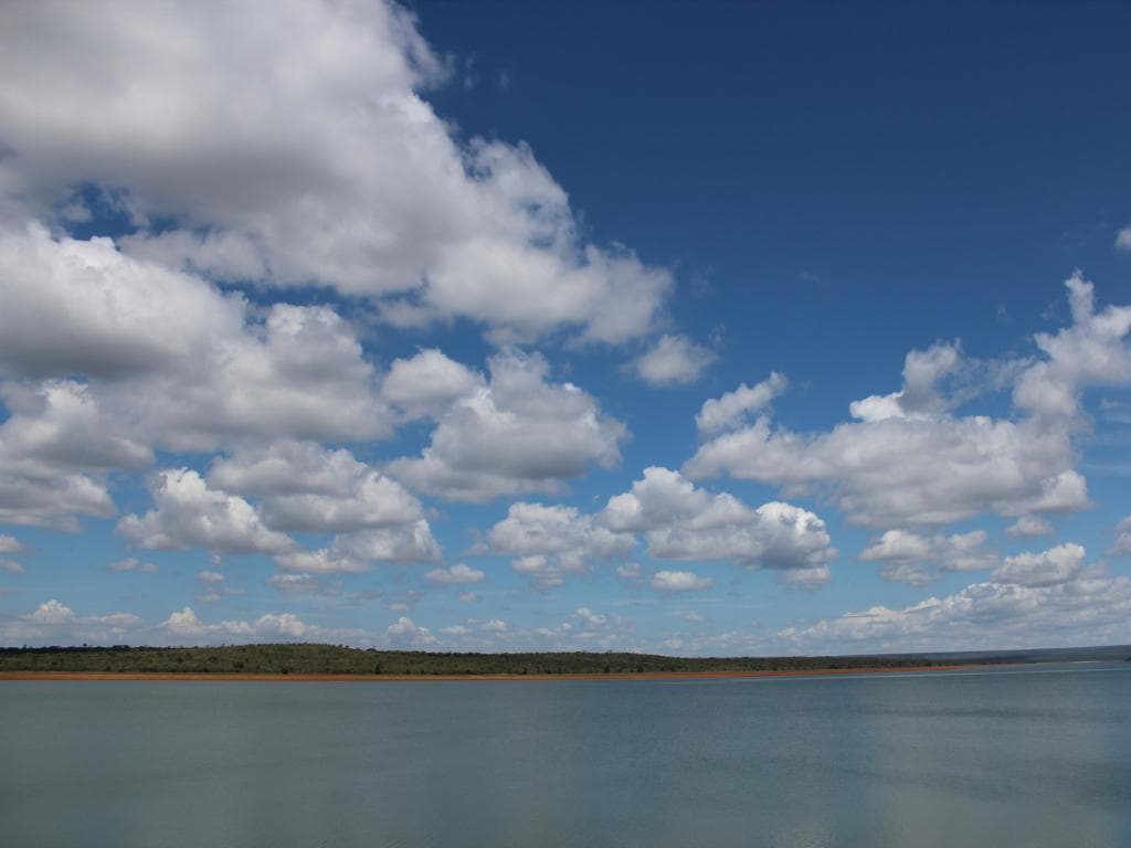 cropped-image
