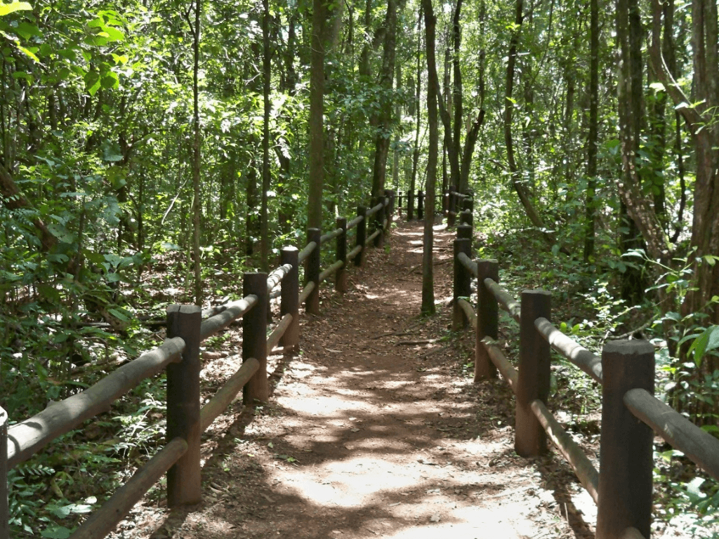 cropped-image